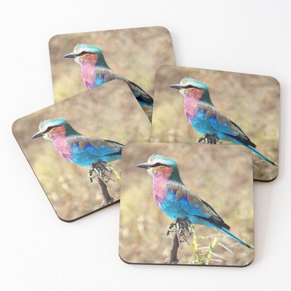 Item preview, Lilac Breasted Roller, Serengeti, Tanzania designed and sold by Carole-Anne.