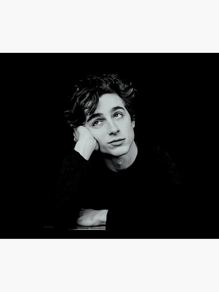 "Timothee Chalamet design" Throw Blanket for Sale by kaylacraft3