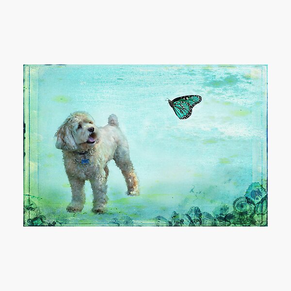 Item preview, A Dog's Dream designed and sold by Barbara Manis.