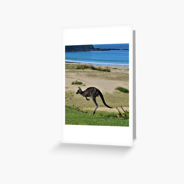 Item preview, Kangaroo 1 designed and sold by Ivan Fernandez.