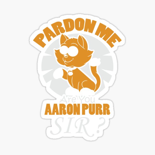 Pardon Me Are You Aaron Purr Sir Funny Adult Sized Alexander 