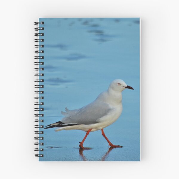 Item preview, Silver Gull designed and sold by Ivan Fernandez.