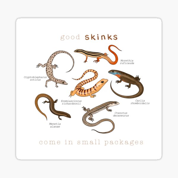 Item preview, Good Skinks Come In Small Packages designed and sold by miss-varanus.