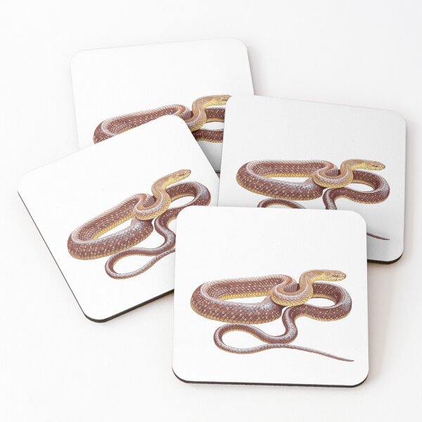 Item preview, Aesculapian snake designed and sold by kokayart.