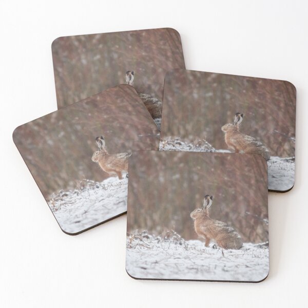 Item preview, Think Think Think. European hare designed and sold by Jouko Lehto Photography.