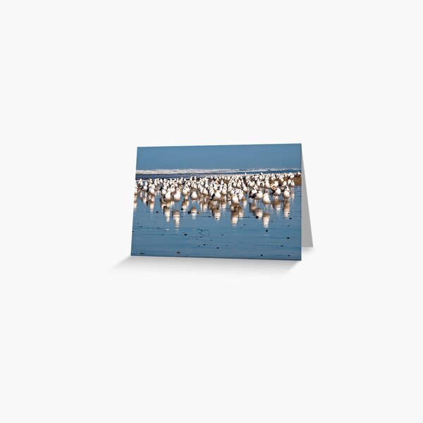 MINE mIne MinE MINE Greeting Card