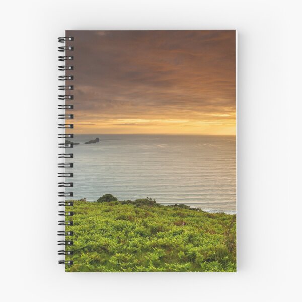 Item preview, Worms Head, Rhossili Bay, Gower designed and sold by Dan Santillo.