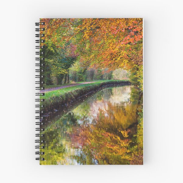 Item preview, Monmouthshire and Brecon Canal designed and sold by Dan Santillo.