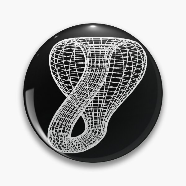 A two-dimensional representation of the Klein bottle immersed in three-dimensional space, #TwoDimensional, #representation, #KleinBottle, #immersed, #ThreeDimensional, #space Pin