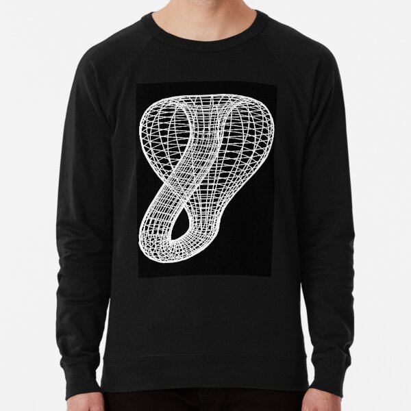 A two-dimensional representation of the Klein bottle immersed in three-dimensional space, #TwoDimensional, #representation, #KleinBottle, #immersed, #ThreeDimensional, #space Lightweight Sweatshirt