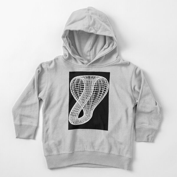 A two-dimensional representation of the Klein bottle immersed in three-dimensional space, #TwoDimensional, #representation, #KleinBottle, #immersed, #ThreeDimensional, #space Toddler Pullover Hoodie