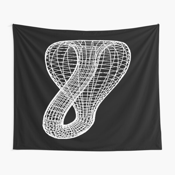 A two-dimensional representation of the Klein bottle immersed in three-dimensional space, #TwoDimensional, #representation, #KleinBottle, #immersed, #ThreeDimensional, #space Tapestry