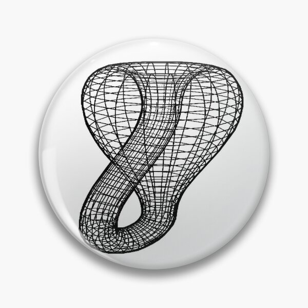 A two-dimensional representation of the Klein bottle immersed in three-dimensional space, #TwoDimensional, #representation, #KleinBottle, #immersed, #ThreeDimensional, #space Pin