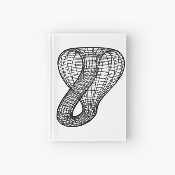 A two-dimensional representation of the Klein bottle immersed in three-dimensional space, #TwoDimensional, #representation, #KleinBottle, #immersed, #ThreeDimensional, #space Hardcover Journal