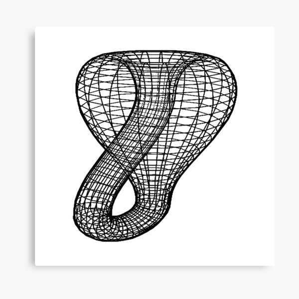 A two-dimensional representation of the Klein bottle immersed in three-dimensional space, #TwoDimensional, #representation, #KleinBottle, #immersed, #ThreeDimensional, #space Canvas Print