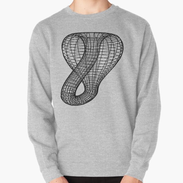 A two-dimensional representation of the Klein bottle immersed in three-dimensional space, #TwoDimensional, #representation, #KleinBottle, #immersed, #ThreeDimensional, #space Pullover Sweatshirt