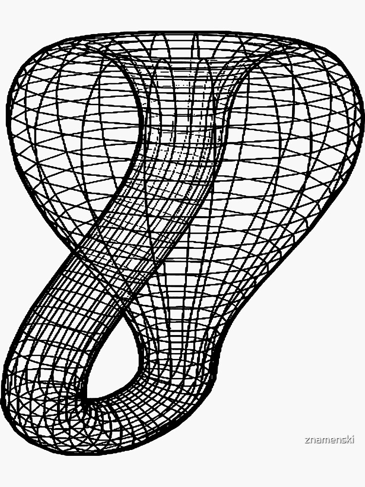 A two-dimensional representation of the Klein bottle immersed in three-dimensional space, #TwoDimensional, #representation, #KleinBottle, #immersed, #ThreeDimensional, #space by znamenski