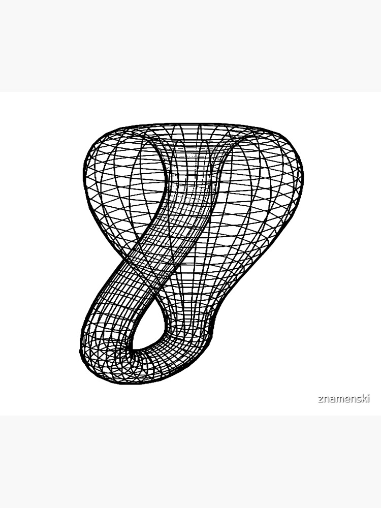 A two-dimensional representation of the Klein bottle immersed in three-dimensional space, #TwoDimensional, #representation, #KleinBottle, #immersed, #ThreeDimensional, #space by znamenski