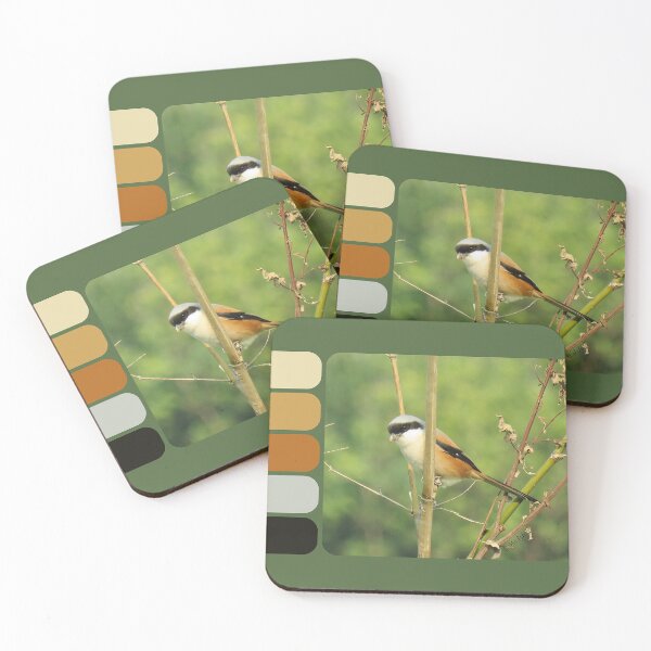 Item preview, Long-tailed Shrike Nature Palette designed and sold by Linda Walsh.