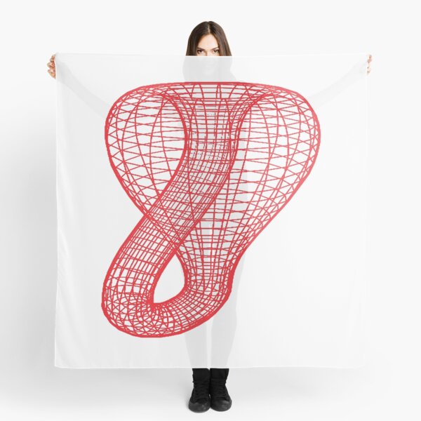 A two-dimensional representation of the Klein bottle immersed in three-dimensional space, #TwoDimensional, #representation, #KleinBottle, #immersed, #ThreeDimensional, #space Scarf