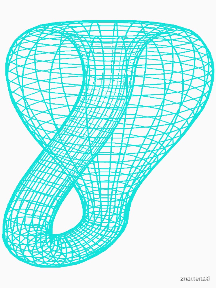 A two-dimensional representation of the Klein bottle immersed in three-dimensional space, #TwoDimensional, #representation, #KleinBottle, #immersed, #ThreeDimensional, #space by znamenski