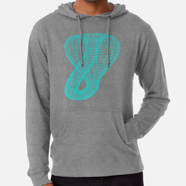 A two-dimensional representation of the Klein bottle immersed in three-dimensional space, #TwoDimensional, #representation, #KleinBottle, #immersed, #ThreeDimensional, #space Lightweight Hoodie