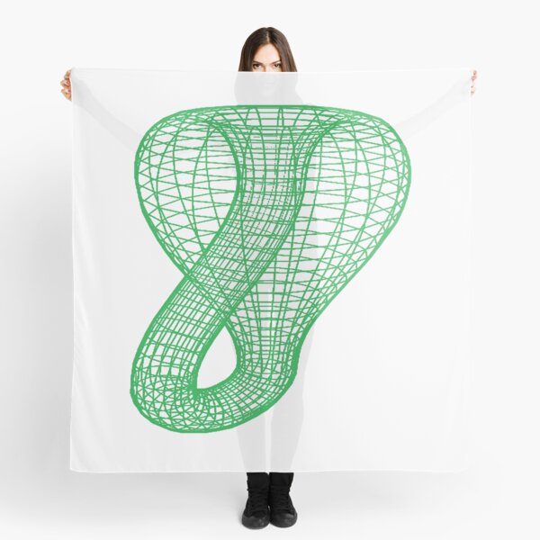 Two-dimensional representation of the Klein bottle immersed in three-dimensional space, #TwoDimensional, #representation, #KleinBottle, #immersed, #ThreeDimensional, #space Scarf
