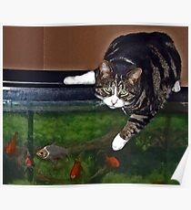 Something Fishy Poster