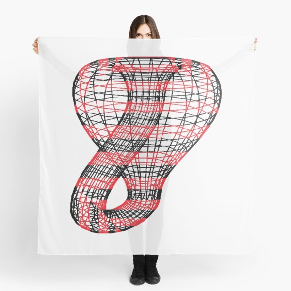Two-dimensional representation of the Klein bottle immersed in three-dimensional space, #TwoDimensional, #representation, #KleinBottle, #immersed, #ThreeDimensional, #space Scarf