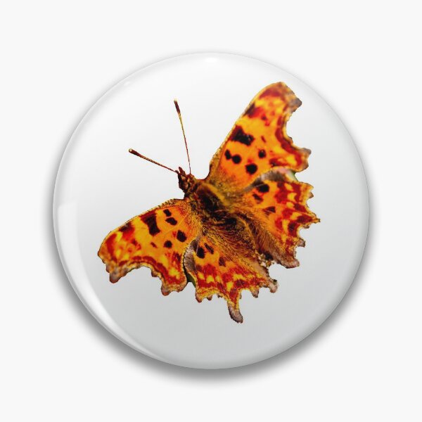 Comma Butterfly Pin