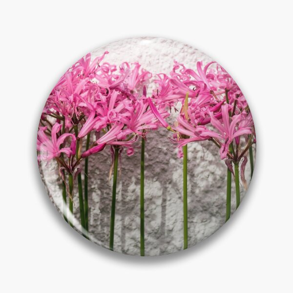 Item preview, Candy Colored Garden Border - Dramatic Spider Lilies Against a Rough Wall designed and sold by Georgia Mizuleva.
