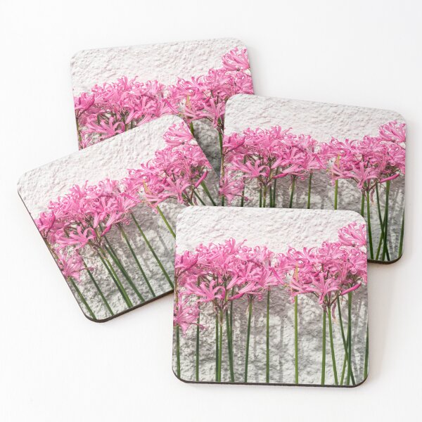 Item preview, Candy Colored Garden Border - Dramatic Spider Lilies Against a Rough Wall designed and sold by Georgia Mizuleva.