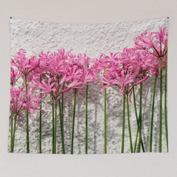 Item preview, Candy Colored Garden Border - Dramatic Spider Lilies Against a Rough Wall designed and sold by Georgia Mizuleva.