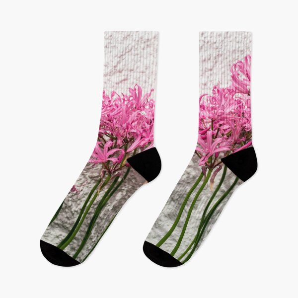 Item preview, Candy Colored Garden Border - Dramatic Spider Lilies Against a Rough Wall designed and sold by Georgia Mizuleva.