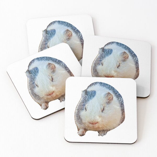 Item preview, Guinea Pig with Iguana friend designed and sold by Dalyndigital Photography.