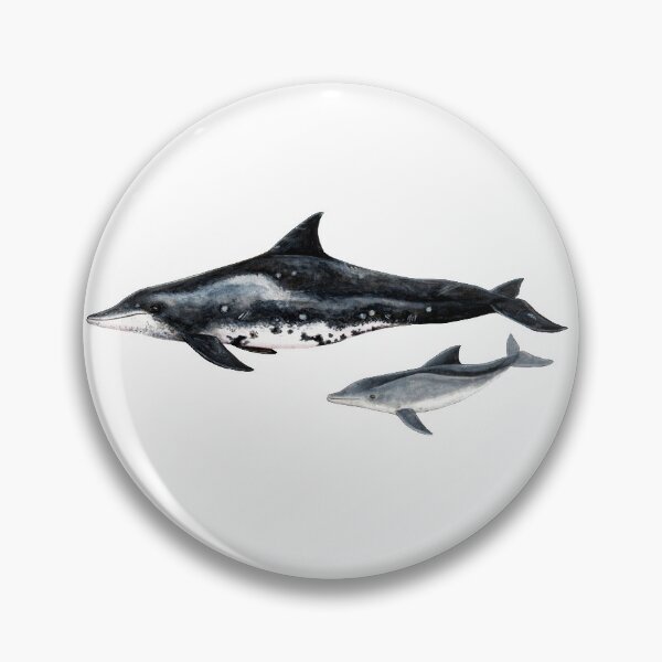 Item preview, Rough toothed dolphin designed and sold by chloeyzoard.