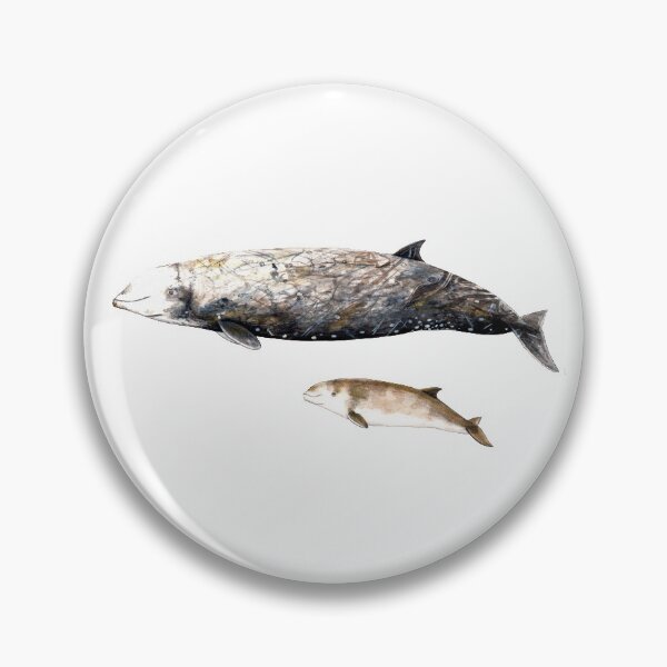 Item preview, Cuvier´s Beaked whale designed and sold by chloeyzoard.