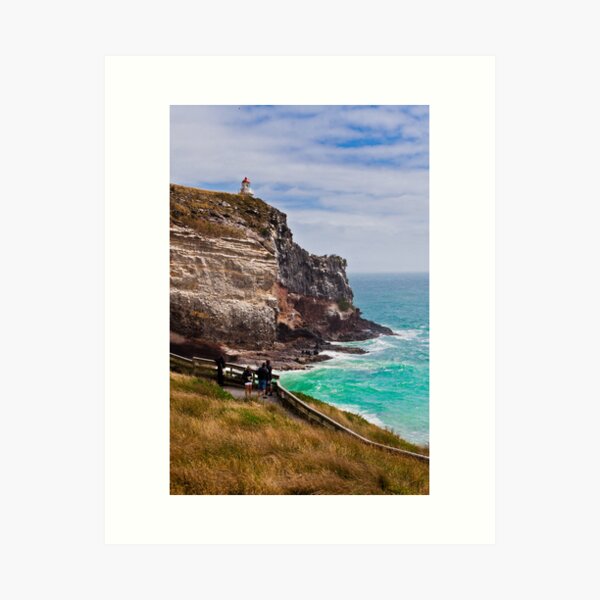 Taiaroa Head Art Print