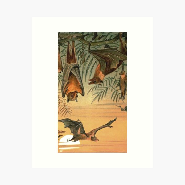 Item preview, Fruit Bats designed and sold by thelittlebat.