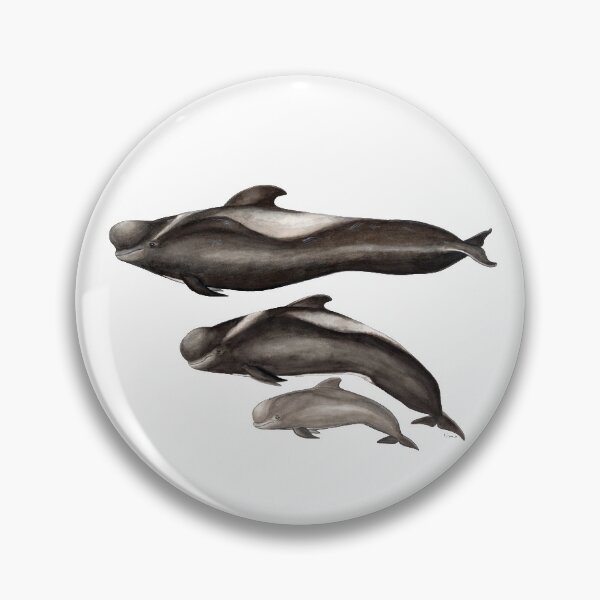 Item preview, Short-finned Pilot whale designed and sold by chloeyzoard.