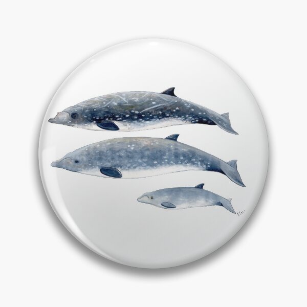 Item preview, Blainville´s Beaked whale designed and sold by chloeyzoard.