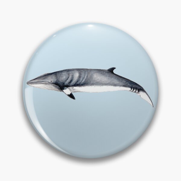 Item preview, Minke whale designed and sold by chloeyzoard.