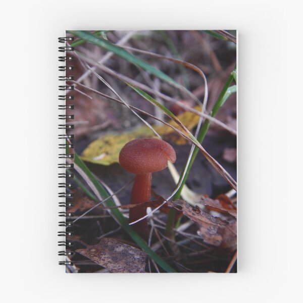 Item preview, Mushroom Kingdom (3197) designed and sold by sensameleon.