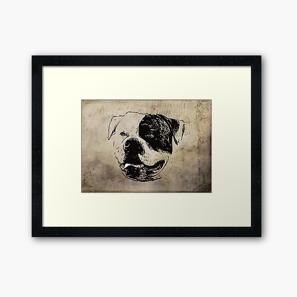 Artikel-Vorschau von American Bulldog, designt und verkauft von DoggyStyles.