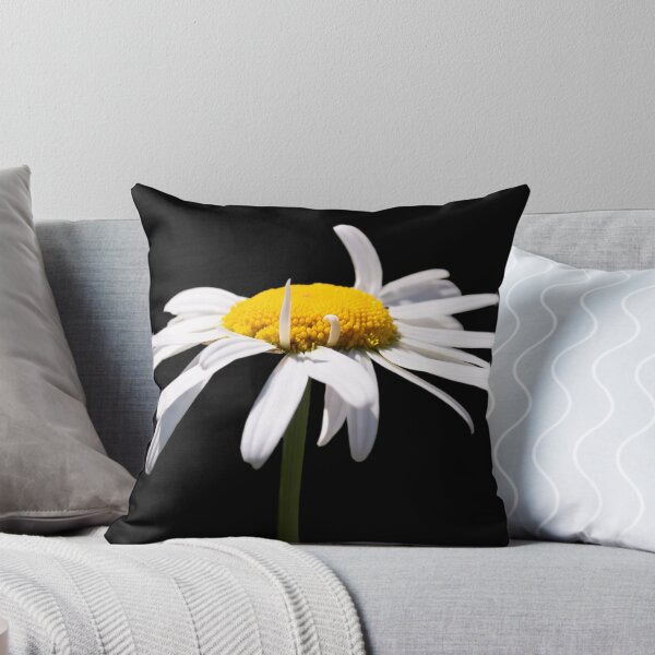 Item preview, Camomile on black background designed and sold by Shoshina.
