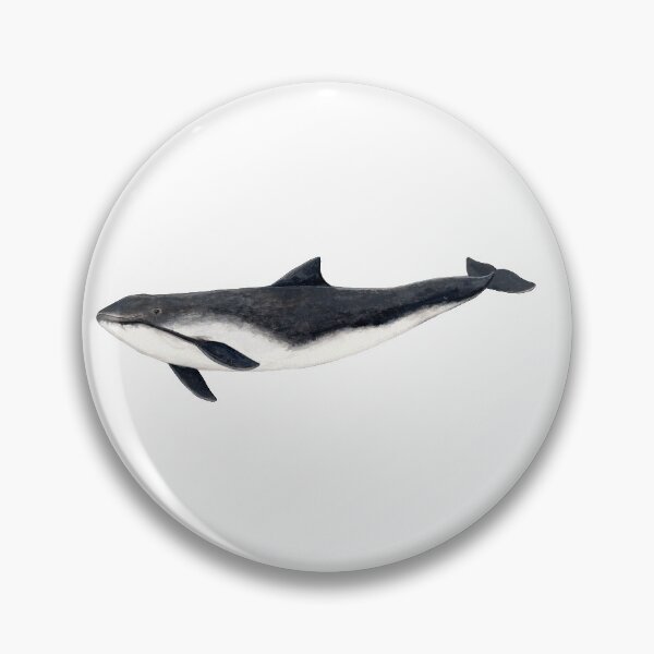 Item preview, Harbour porpoise  designed and sold by chloeyzoard.