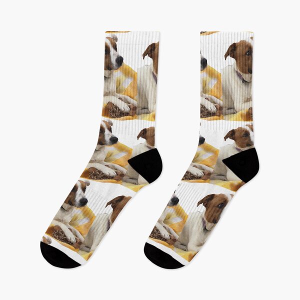 Item preview, Leroy designed and sold by Jack Russell Rescue Australia.