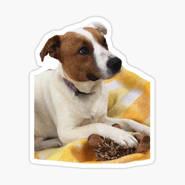 Leroy Sticker