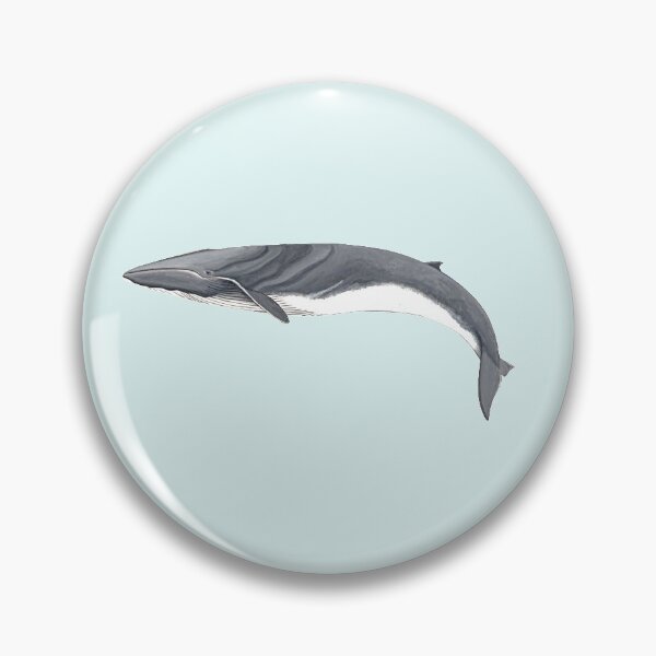 Item preview, Fin whale designed and sold by chloeyzoard.