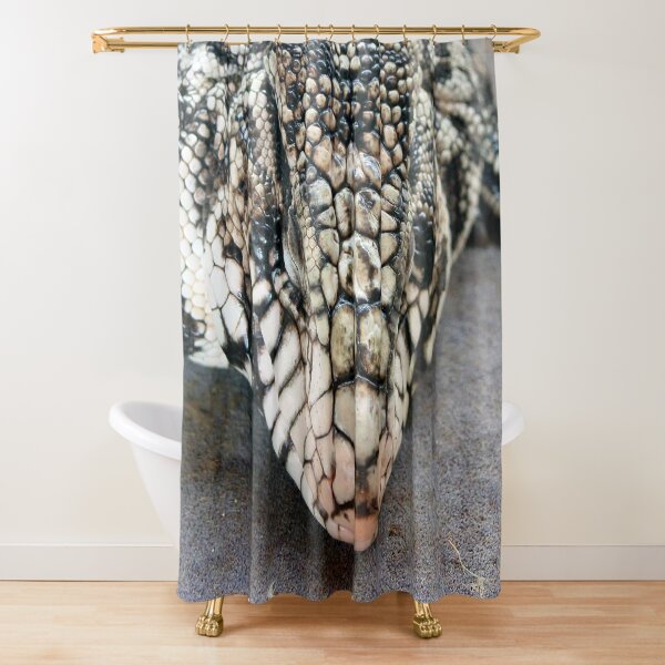 Snoozing tegu lizard Shower Curtain
